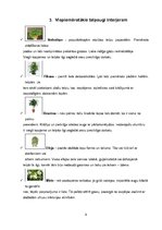 Referāts 'Telpaugu nozīme viesmīlības atmosfēras radīšanā', 9.