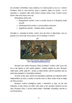 Referāts 'Reklāmas analīze', 4.