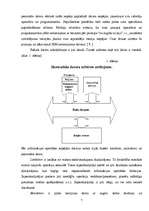 Referāts 'Datora negatīvā ietekme uz cilvēku', 7.