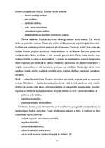 Referāts 'Datora negatīvā ietekme uz cilvēku', 17.