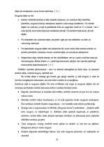 Referāts 'Datora negatīvā ietekme uz cilvēku', 20.