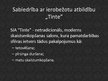 Prezentācija 'Netradicionālais skaistumkopšanas salons "Tinte"', 3.
