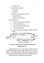 Referāts 'Kokapstrādes uzņēmuma SIA "X" ražošanas procesa optimizācija', 15.