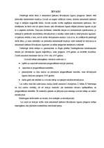 Referāts 'Dāvinājuma līgumu darījumu prognoze', 3.