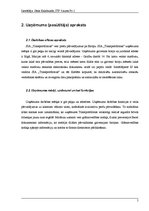 Referāts 'Transportfirmas informācijas sistēma', 5.