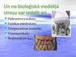 Prezentācija 'Stress', 10.