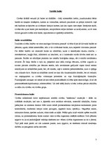 Referāts 'Bailes un fobijas', 8.