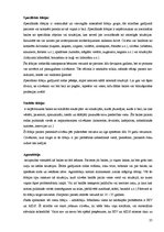 Referāts 'Bailes un fobijas', 25.