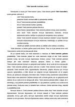 Referāts 'Valsts kontroles loma un kompetence', 6.