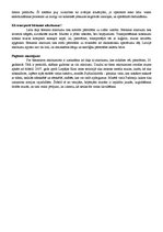 Referāts 'Bīstamie atkritumi', 3.