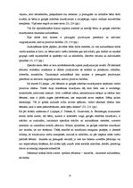 Diplomdarbs 'Tikumiskās audzināšanas iespējas darbā ar jauniešiem ar viegliem garīgās attīstī', 13.