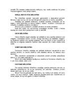 Konspekts 'Ē.Fromma “Mīlestības māksla” un skolotāja profesija', 10.