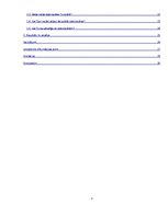 Referāts 'Datorspēļu lietderīgums Auces vidusskolā', 3.