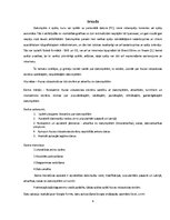 Referāts 'Datorspēļu lietderīgums Auces vidusskolā', 4.