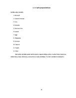 Referāts 'Datorspēļu lietderīgums Auces vidusskolā', 10.