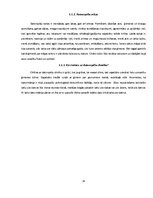 Referāts 'Datorspēļu lietderīgums Auces vidusskolā', 14.