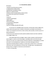 Referāts 'Datorspēļu lietderīgums Auces vidusskolā', 15.