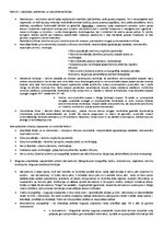 Konspekts 'Centrālā nervu sistēma', 3.