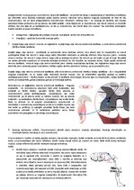 Konspekts 'Centrālā nervu sistēma', 5.