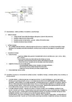 Konspekts 'Centrālā nervu sistēma', 10.