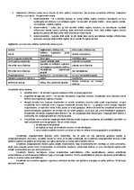 Konspekts 'Centrālā nervu sistēma', 13.