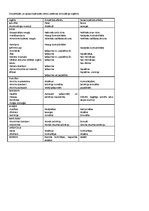 Konspekts 'Centrālā nervu sistēma', 15.