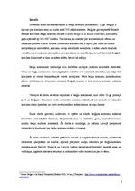 Referāts 'Beļģu komiksu pirmsākumi', 3.