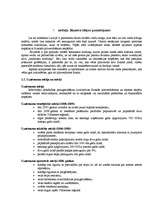 Biznesa plāns 'SIA "Minhauzens"', 3.