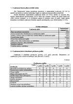 Biznesa plāns 'SIA "Minhauzens"', 4.