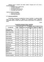 Biznesa plāns 'SIA "Minhauzens"', 6.