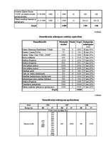 Biznesa plāns 'SIA "Minhauzens"', 7.