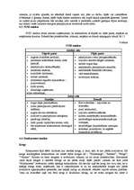 Biznesa plāns 'SIA "Minhauzens"', 12.