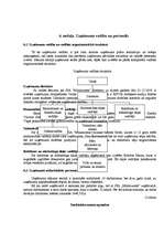 Biznesa plāns 'SIA "Minhauzens"', 16.