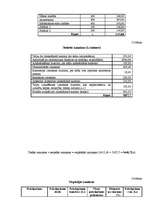 Biznesa plāns 'SIA "Minhauzens"', 19.