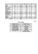 Biznesa plāns 'SIA "Minhauzens"', 20.