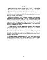 Referāts 'Reliģiskie priekšstati Divupē', 5.