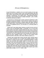 Referāts 'Reliģiskie priekšstati Divupē', 6.