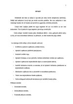 Biznesa plāns 'Kafejnīca', 5.