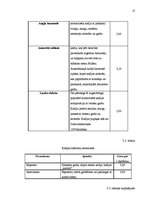 Biznesa plāns 'Kafejnīca', 13.