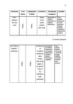 Biznesa plāns 'Kafejnīca', 22.