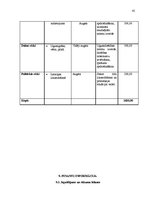 Biznesa plāns 'Kafejnīca', 45.