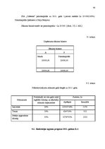 Biznesa plāns 'Kafejnīca', 46.