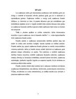 Referāts 'SIA “Linde” finanšu analīze', 3.