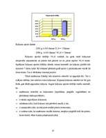 Referāts 'SIA “Linde” finanšu analīze', 20.