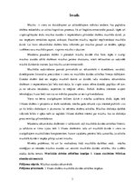 Referāts 'Muzikālās dzirdes attīstības iespējas 1.klases skolēniem', 3.