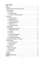 Referāts 'Māsu vadītāja darba stils', 2.