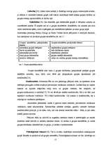 Referāts 'Māsu vadītāja darba stils', 17.