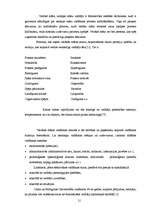 Referāts 'Māsu vadītāja darba stils', 21.