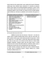 Referāts 'Māsu vadītāja darba stils', 23.