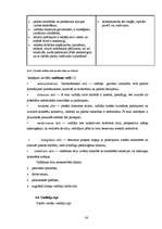 Referāts 'Māsu vadītāja darba stils', 24.